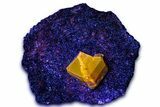 Fluorescent Zircon Crystal and Magnetite in Biotite Schist - Norway #363938-1